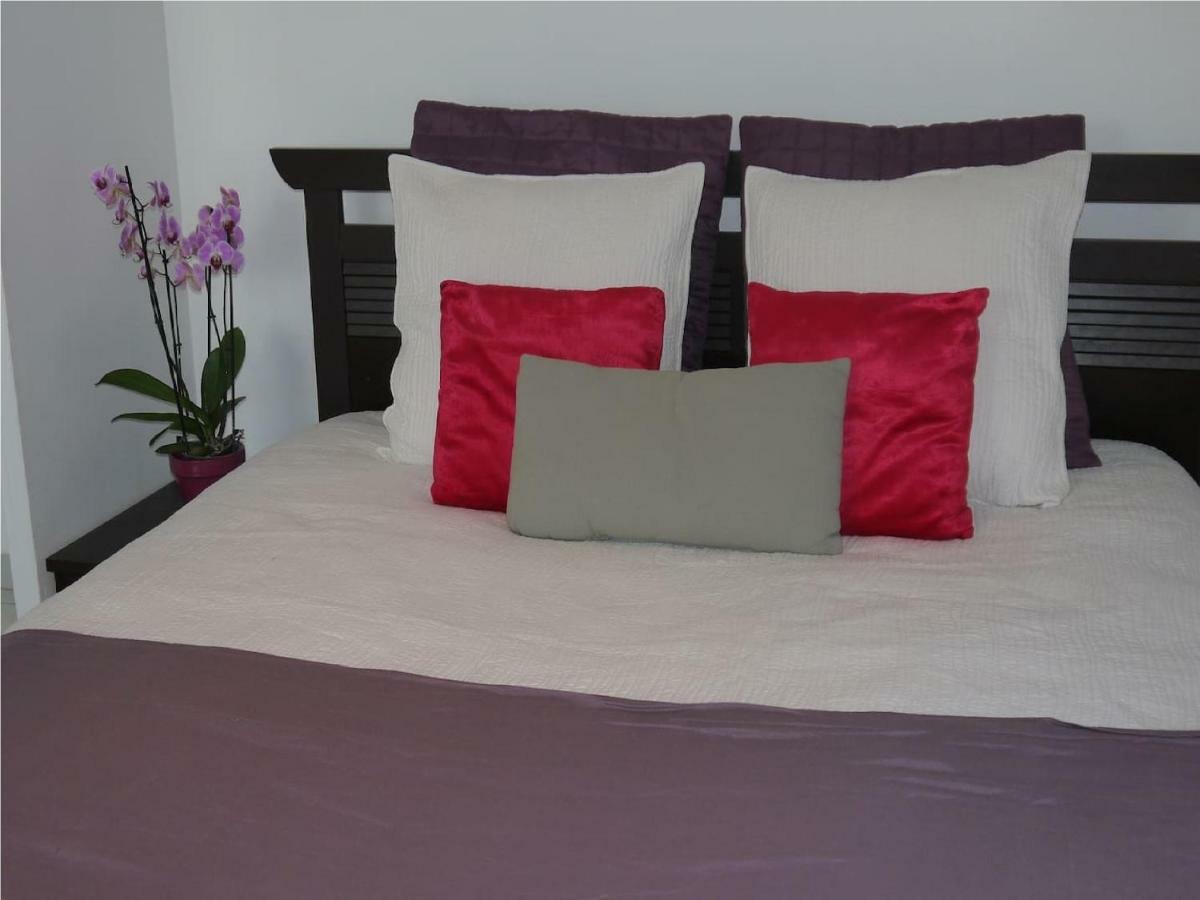 Grand Appartement Dans Maison Avec Piscine Privee Fréjus Zewnętrze zdjęcie